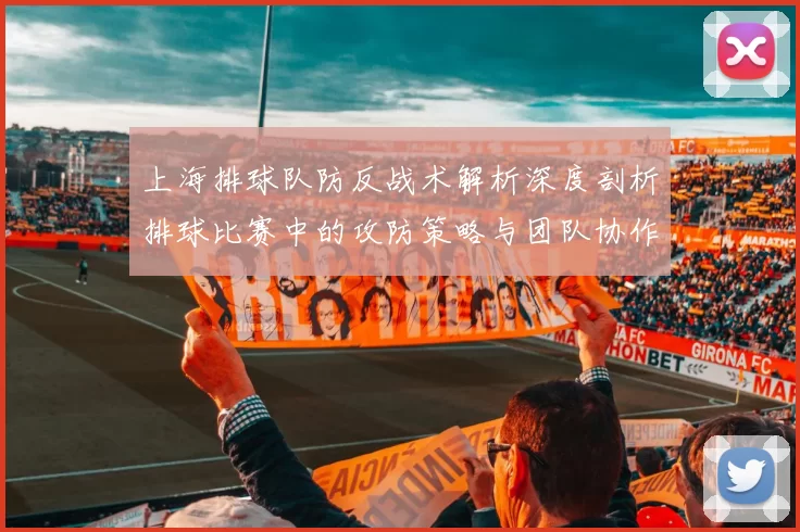 上海排球队防反战术解析深度剖析排球比赛中的攻防策略与团队协作