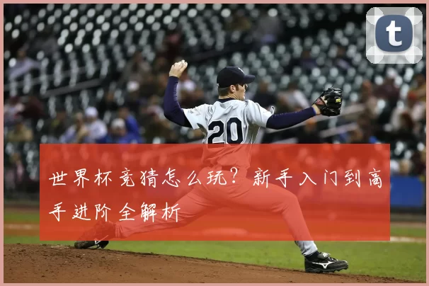 世界杯竞猜怎么玩?新手入门到高手进阶全解析