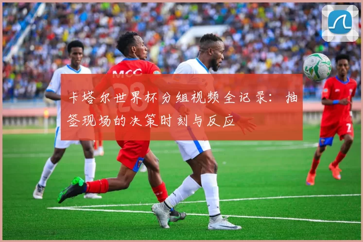 卡塔尔世界杯分组视频全记录:抽签现场的决策时刻与反应