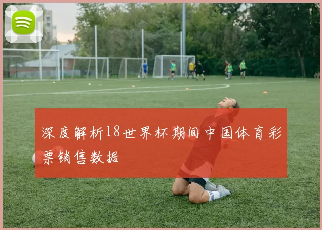 深度解析18世界杯期间中国体育彩票销售数据