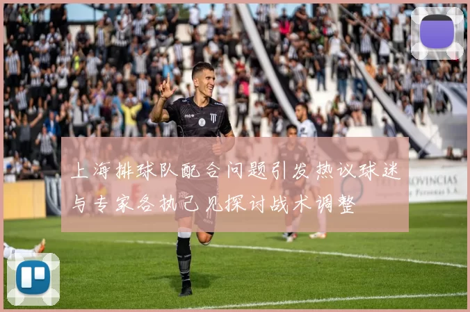 上海排球队配合问题引发热议球迷与专家各执己见探讨战术调整