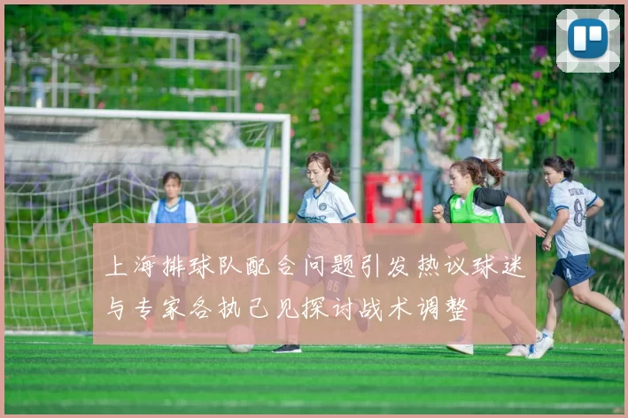 上海排球队配合问题引发热议球迷与专家各执己见探讨战术调整