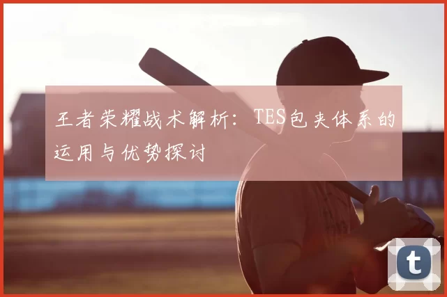 王者荣耀战术解析：TES包夹体系的运用与优势探讨