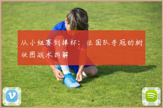 从小组赛到捧杯：法国队夺冠的树状图战术拆解
