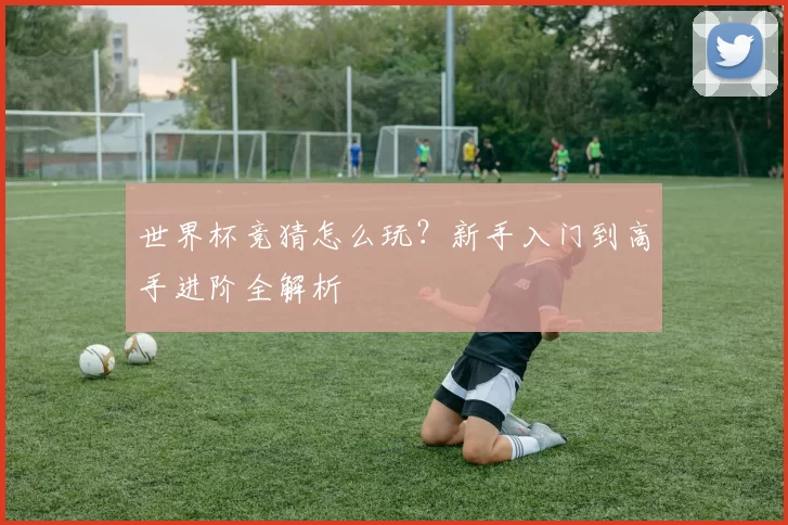 世界杯竞猜怎么玩?新手入门到高手进阶全解析