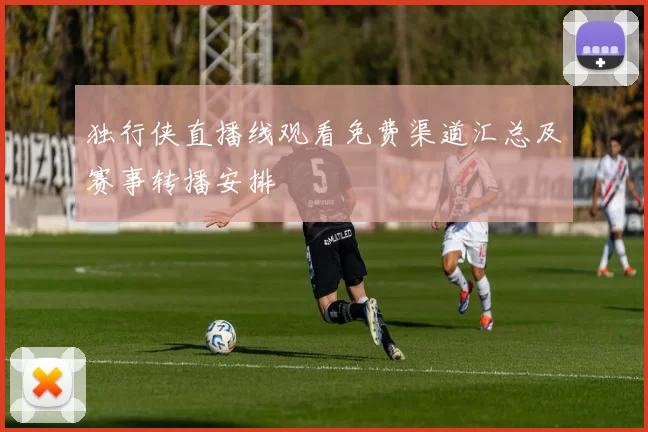 独行侠直播线观看免费渠道汇总及赛事转播安排