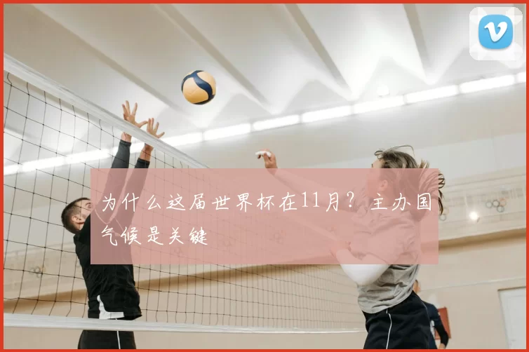 为什么这届世界杯在11月？主办国气候是关键