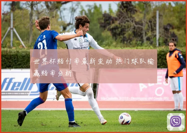 世界杯赔付率最新变动 热门球队输赢赔率分析