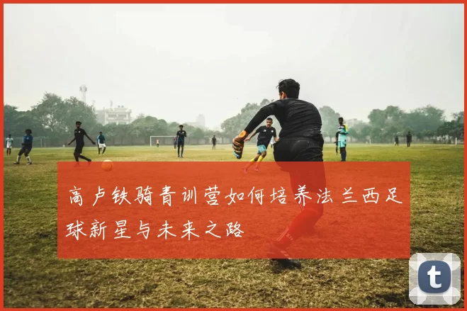 高卢铁骑青训营如何培养法兰西足球新星与未来之路