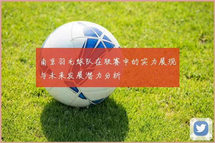 南京羽毛球队在联赛中的实力展现与未来发展潜力分析