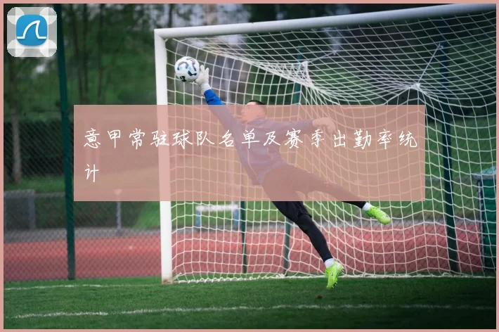 意甲常驻球队名单及赛季出勤率统计