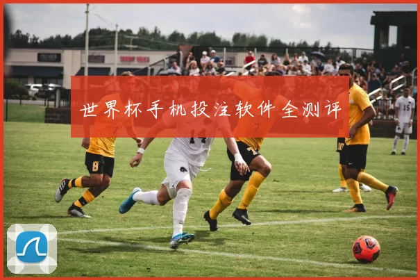 世界杯手机投注软件全测评