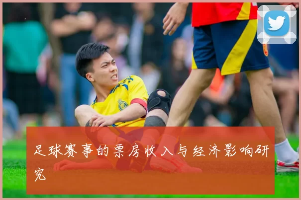 足球赛事的票房收入与经济影响研究