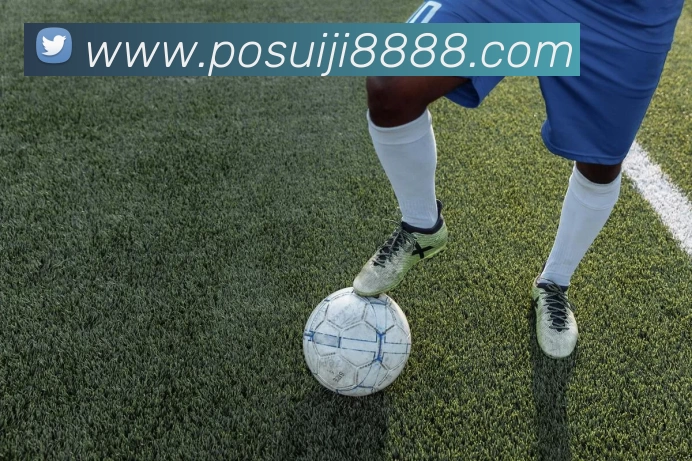 乐鱼体育服务体系